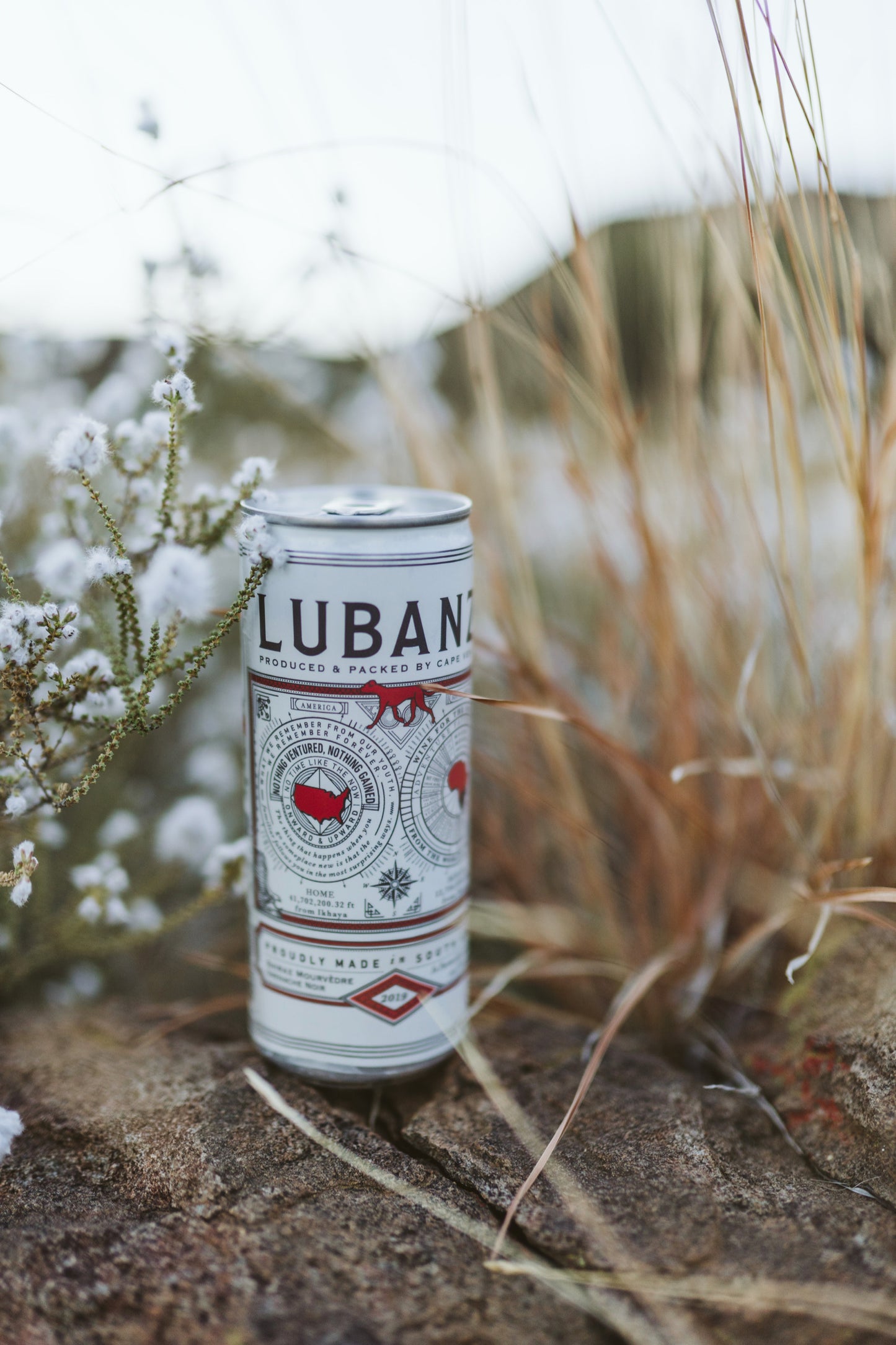 Lubanzi Organic Shiraz Can